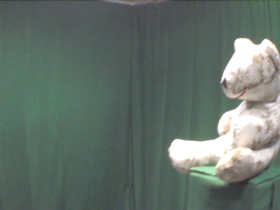 315 Degrees _ Picture 9 _ Green and White Teddy Bear.png